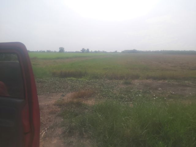 ใช่ ขายที่ดิน 15 ไร่ ฉะเชิงเทรา บางน้ำเปรี้ยว เหมาะทำ สวนเกษตร ซื้อไว้เก็งกำไร รูปที่ 3