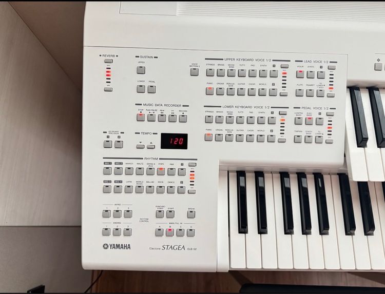 Electone รูปที่ 4