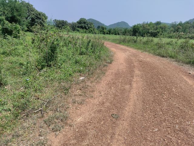 ใช่ ขายที่มีฉโนดติดคลอง รูปที่ 2