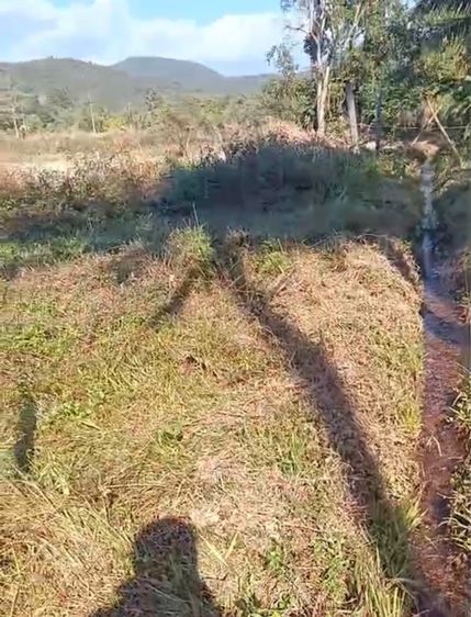 ใช่ ที่ดิน รูปที่ 3