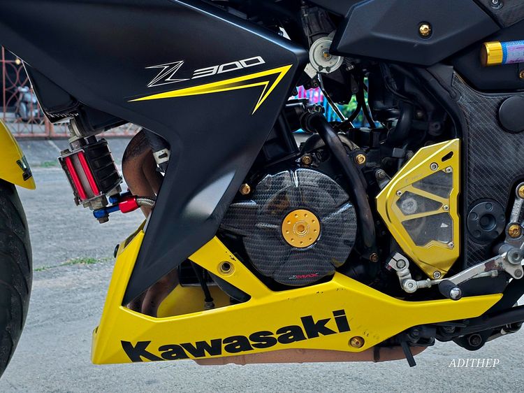 KAWASAKI Z300 2015 รูปที่ 7
