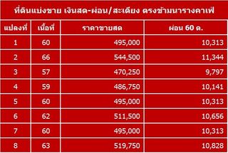 ที่ดินแบ่งขาย เงินสด และเงินผ่อน ต.สะเดียง อ.เมือง จ.เพชรบูรณ์
