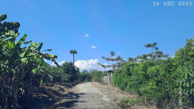 ไม่ใช่ เจ้าของขายเอง ติดแม่น้ำลี้ ใกล้ทางขึ้นดอยอินทนนท์ วิวสวย อากาศเย็นสบาย รูปที่ 3