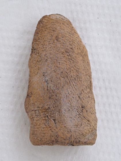 พระรอด 12126810 รูปที่ 2