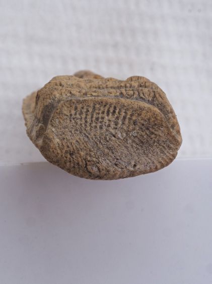 พระรอด 12126810 รูปที่ 3