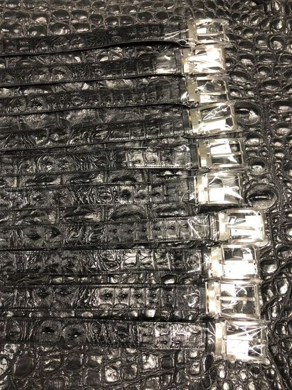 เข็มขัดกระดูกเดี่ยว 1.5”
BL015NSMC
หัวเข็ม

ราคา 900฿ รูปที่ 10