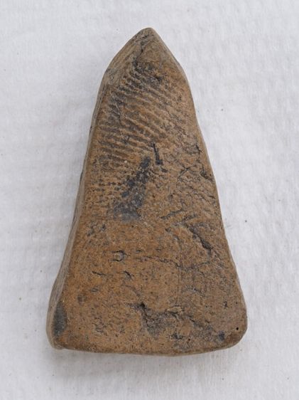 พระผงสุพรรณ 15126809 รูปที่ 2