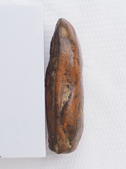 พระเนื้อดิน 15126819 รูปที่ 4