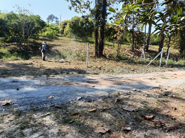 ที่ดินหลักหมื่น อ.สันทราย สำหรับคนงบน้อย รูปที่ 2