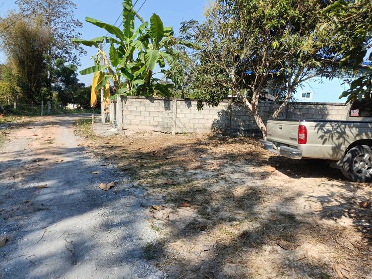 ที่ดินหลักหมื่น อ.สันทราย สำหรับคนงบน้อย รูปที่ 4