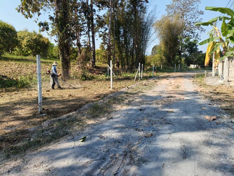 ที่ดินหลักหมื่น อ.สันทราย สำหรับคนงบน้อย รูปที่ 3