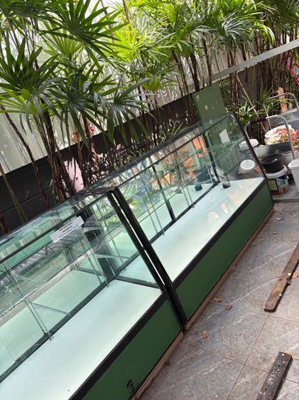 ขายตู้โชว์ ชั้นวางของ ตู้เค้ก ตู้ใส ตู้ขนม ตู้กระจก สภาพตามรูป มารับเองที่บ้านจ้า  รูปที่ 4