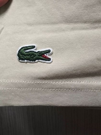 เสื้อยืด Lacoste มือหนึ่ง ของแท้ รูปที่ 5