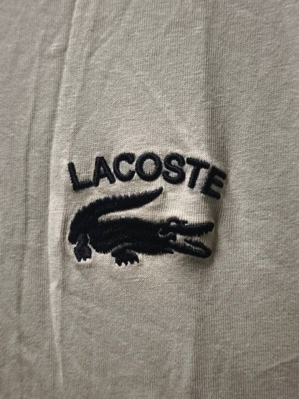 เสื้อยืด Lacoste มือหนึ่ง ของแท้ รูปที่ 6