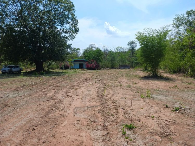 บ้านสวนใกล้ๆมมส.ใหม่ รูปที่ 4