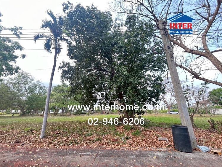 ที่ดินเปล่า 101 ตร.ว. หมู่บ้านเบลเลอวิว ใกล้ตลาดธนบุรี ซอยบรมราชชนนี62-3 ถนนบรมราชชนนี ถนนทวีวัฒนา เขตทวีวัฒนา กรุงเทพมหานคร รูปที่ 4