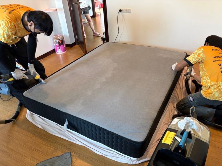 ที่นอน Dunlopillo รุ่น Frostburg Talasilver Latex Collection ขนาด 5 ฟุต รูปที่ 10