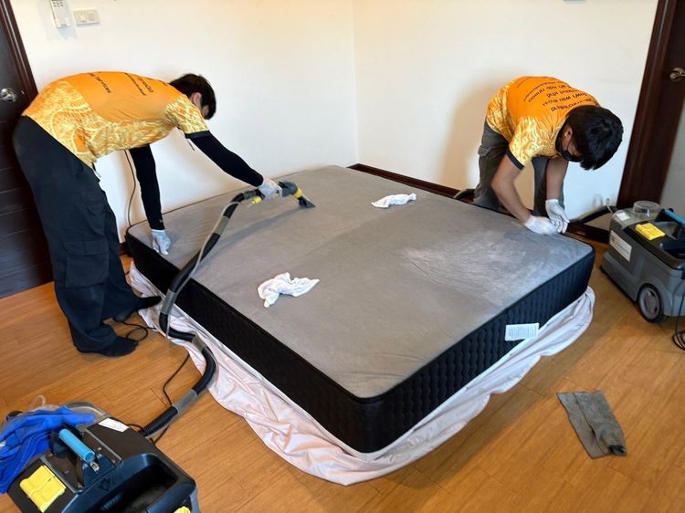 ที่นอน Dunlopillo รุ่น Frostburg Talasilver Latex Collection ขนาด 5 ฟุต รูปที่ 9