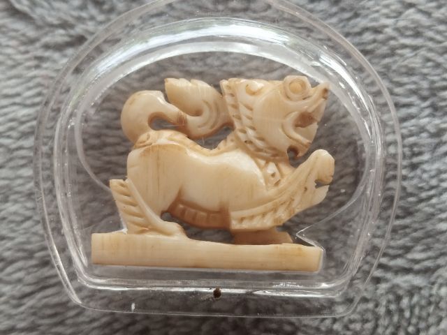 สิงห์แกะ (พร้อมเลี่ยม) รูปที่ 8