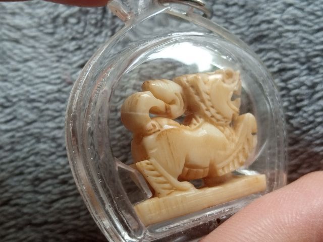 สิงห์แกะ (พร้อมเลี่ยม) รูปที่ 9