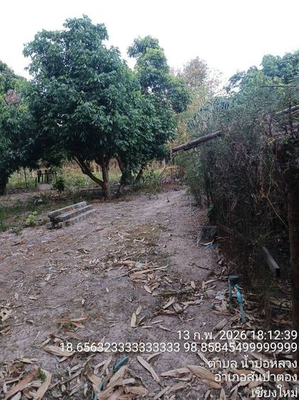 ขายที่ดินสวนลำไย “ทำเลสงบ” หลังวัดโรงวัว 1 งาน 46 ตรว. รูปที่ 4