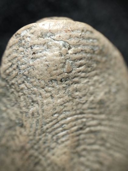 ❌ปิดครับ❌พระรอดลำพูนพิมพ์ใหญ่เนื้อโทนขาวชมพูครับ รูปที่ 17