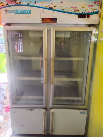 ตู้แช่แข็ง อื่นๆ ตู้แช่เครื่องดื่มชั้นล่างช่องฟีช