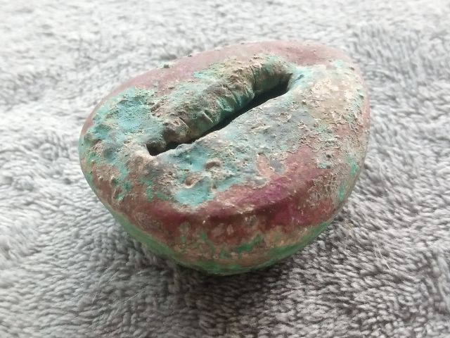 ภวคจั่น รูปที่ 7