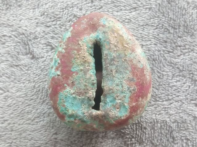 ภวคจั่น รูปที่ 6