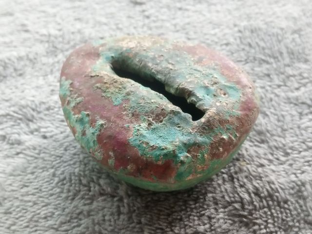 ภวคจั่น รูปที่ 8