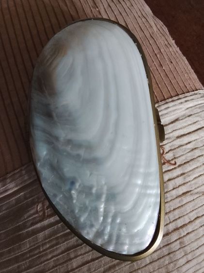 กระเป๋าเปลือกหอยมุก รูปที่ 2