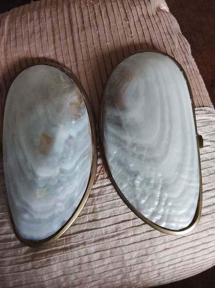 กระเป๋าเปลือกหอยมุก