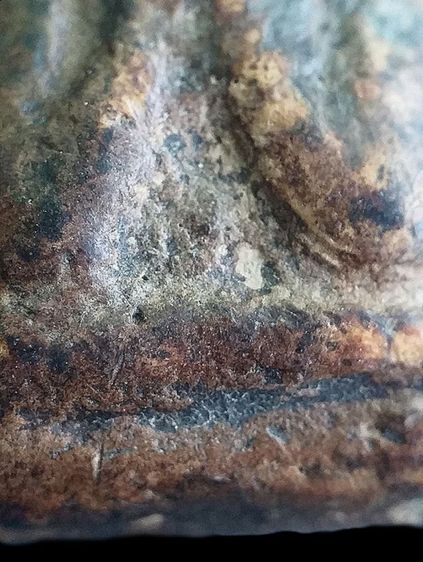 หลวงพ่อแก้ว วัดเครือวัลย์. รูปที่ 8