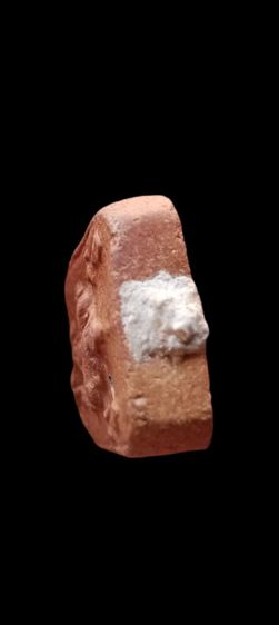 หลวงพ่อปานวัดบางนมโค