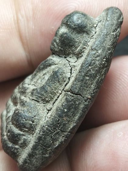 หลวงปู่ทวดเนื้อว่านเก่าจัดครับ รูปที่ 9