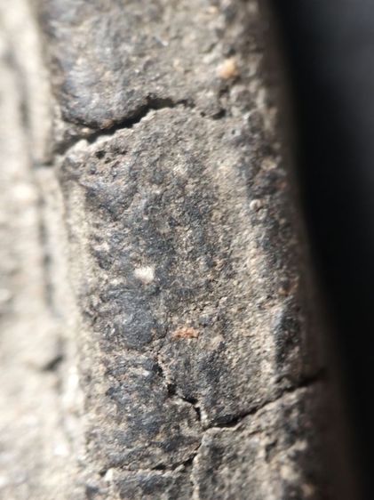 หลวงปู่ทวดเนื้อว่านเก่าจัดครับ รูปที่ 13