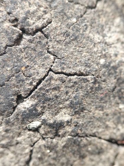 หลวงปู่ทวดเนื้อว่านเก่าจัดครับ รูปที่ 17