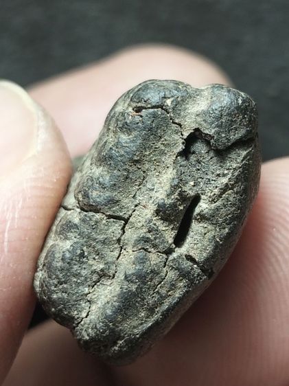 หลวงปู่ทวดเนื้อว่านเก่าจัดครับ รูปที่ 8