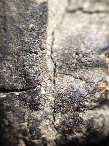 หลวงปู่ทวดเนื้อว่านเก่าจัดครับ รูปที่ 14