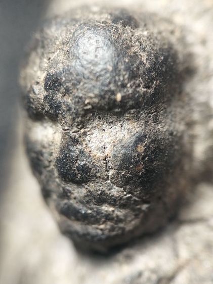 หลวงปู่ทวดเนื้อว่านเก่าจัดครับ รูปที่ 4