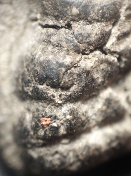 หลวงปู่ทวดเนื้อว่านเก่าจัดครับ รูปที่ 12