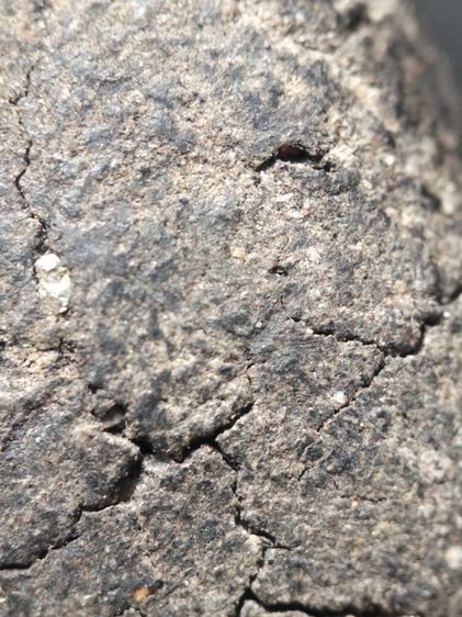 หลวงปู่ทวดเนื้อว่านเก่าจัดครับ รูปที่ 18