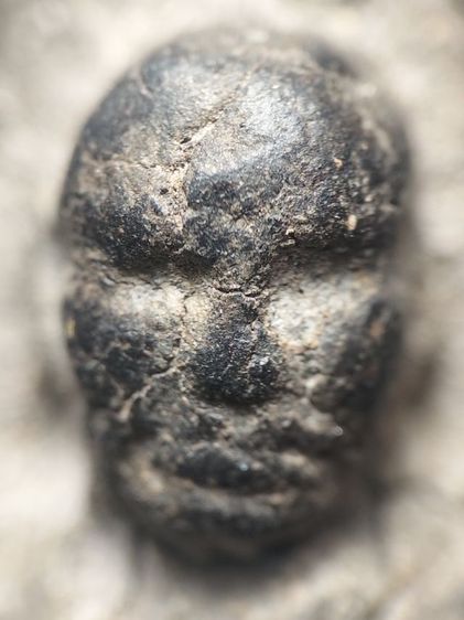 หลวงปู่ทวดเนื้อว่านเก่าจัดครับ รูปที่ 6