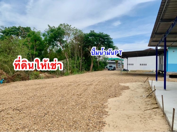 ให้เช่าที่ดินเปล่า ทำเลทอง อยู่หลังปั๊มPT เนื้อที่1ไร่กว่า ทำเลดี แหล่งชุมชน ติดวัดตะคร้ำเอน รูปที่ 2