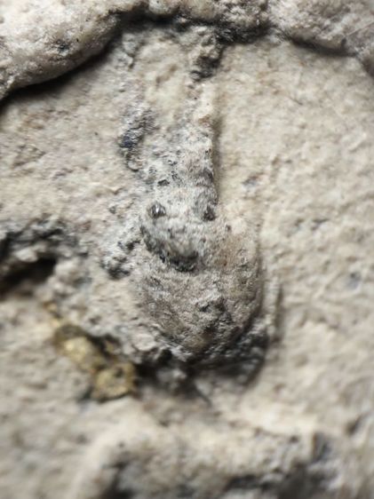 พระสมเด็จพิมพ์ฐานแซมแห้งเก่าครับ รูปที่ 6