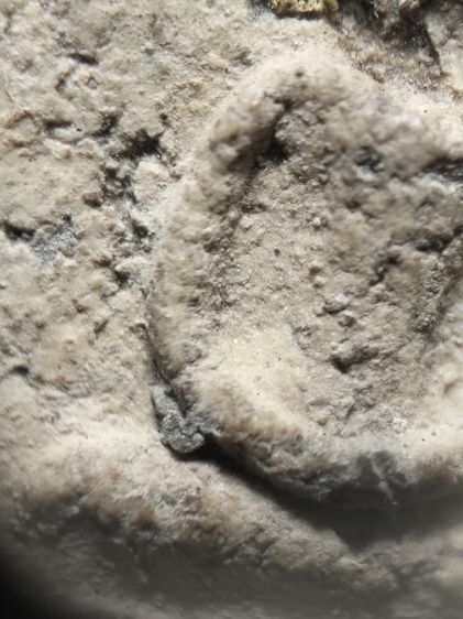 พระสมเด็จพิมพ์ฐานแซมแห้งเก่าครับ รูปที่ 15