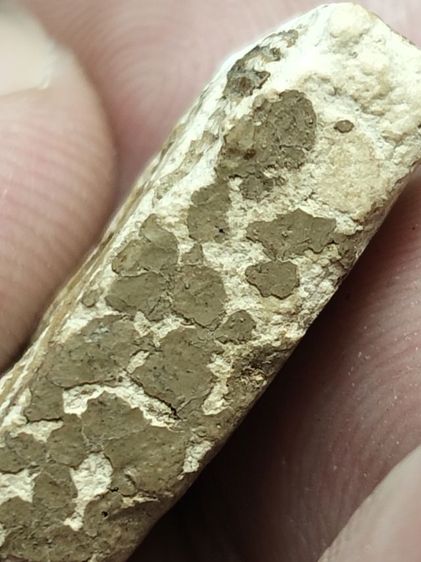 พระผงวัดปากน้ำภาษีเจริญครับ รูปที่ 6