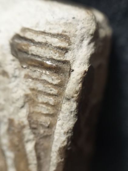 พระผงวัดปากน้ำภาษีเจริญครับ รูปที่ 14