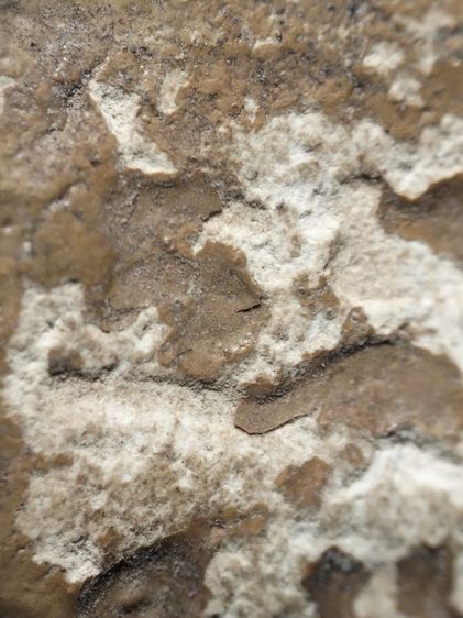 พระผงวัดปากน้ำภาษีเจริญครับ รูปที่ 13