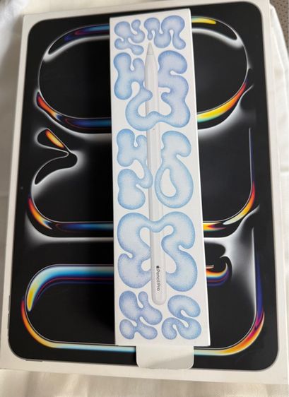 iPad Pro 11” M4 256G